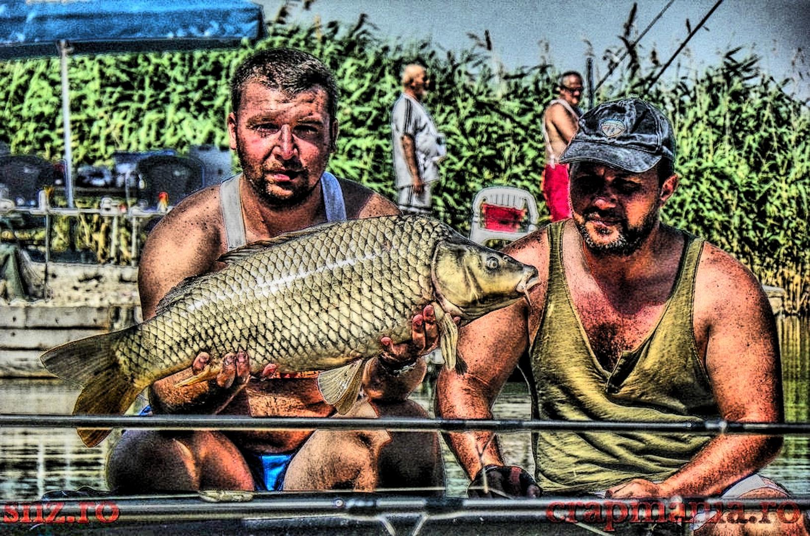 CN Corbu - 2013 (2) - 1014389hdrmode2.JPG